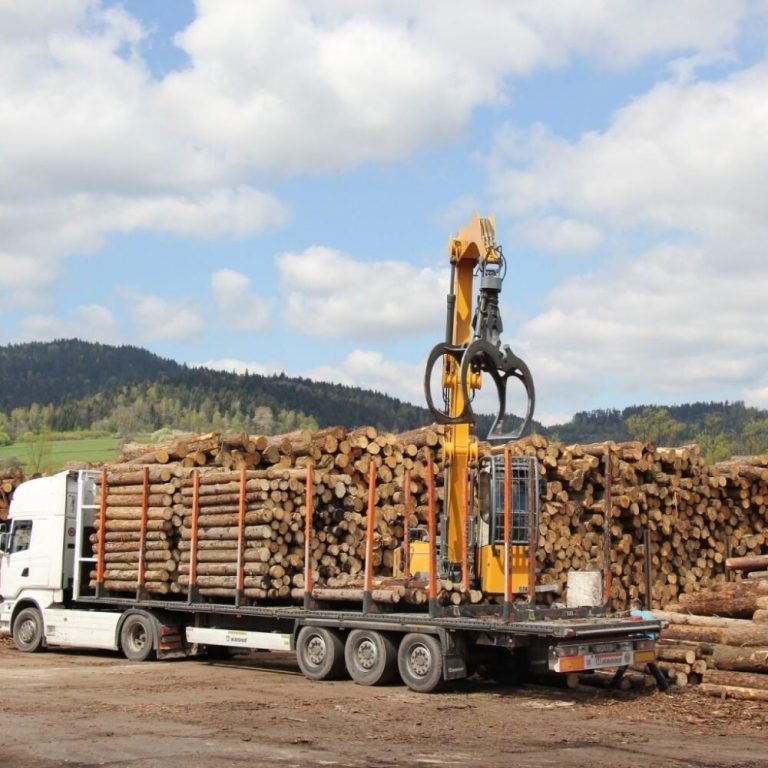 Buche als Stammholz – Komplette Lkw-Ladung 50 Raummeter – Produktansicht 1
