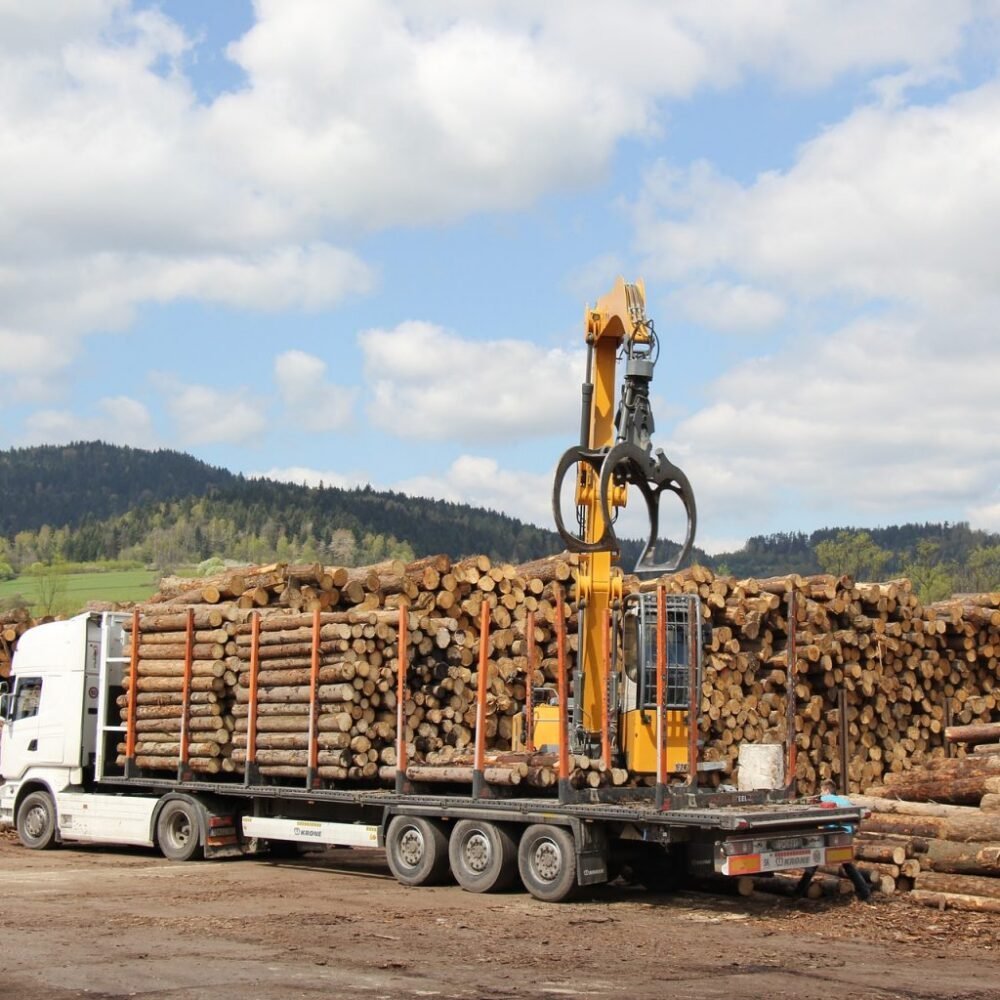 Buche als Stammholz – Komplette Lkw-Ladung 50 Raummeter – Produktansicht 1