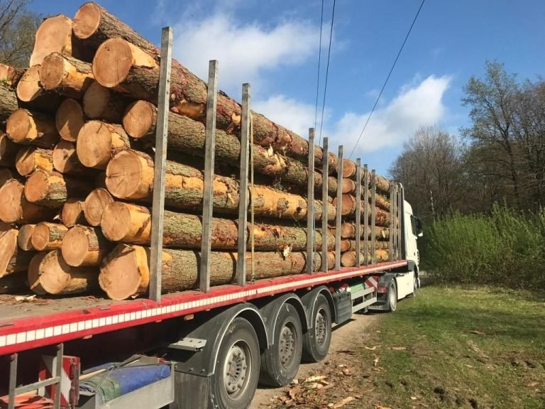 Kastanie als Stammholz – Komplette Lkw-Ladung 50 Raummeter – Produktansicht 1